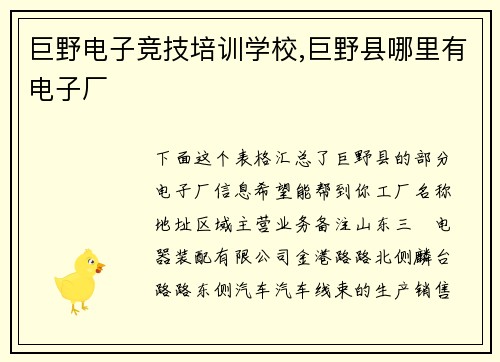 巨野电子竞技培训学校,巨野县哪里有电子厂